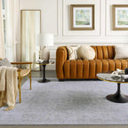 Albuquerque Area Rug Hauteloom