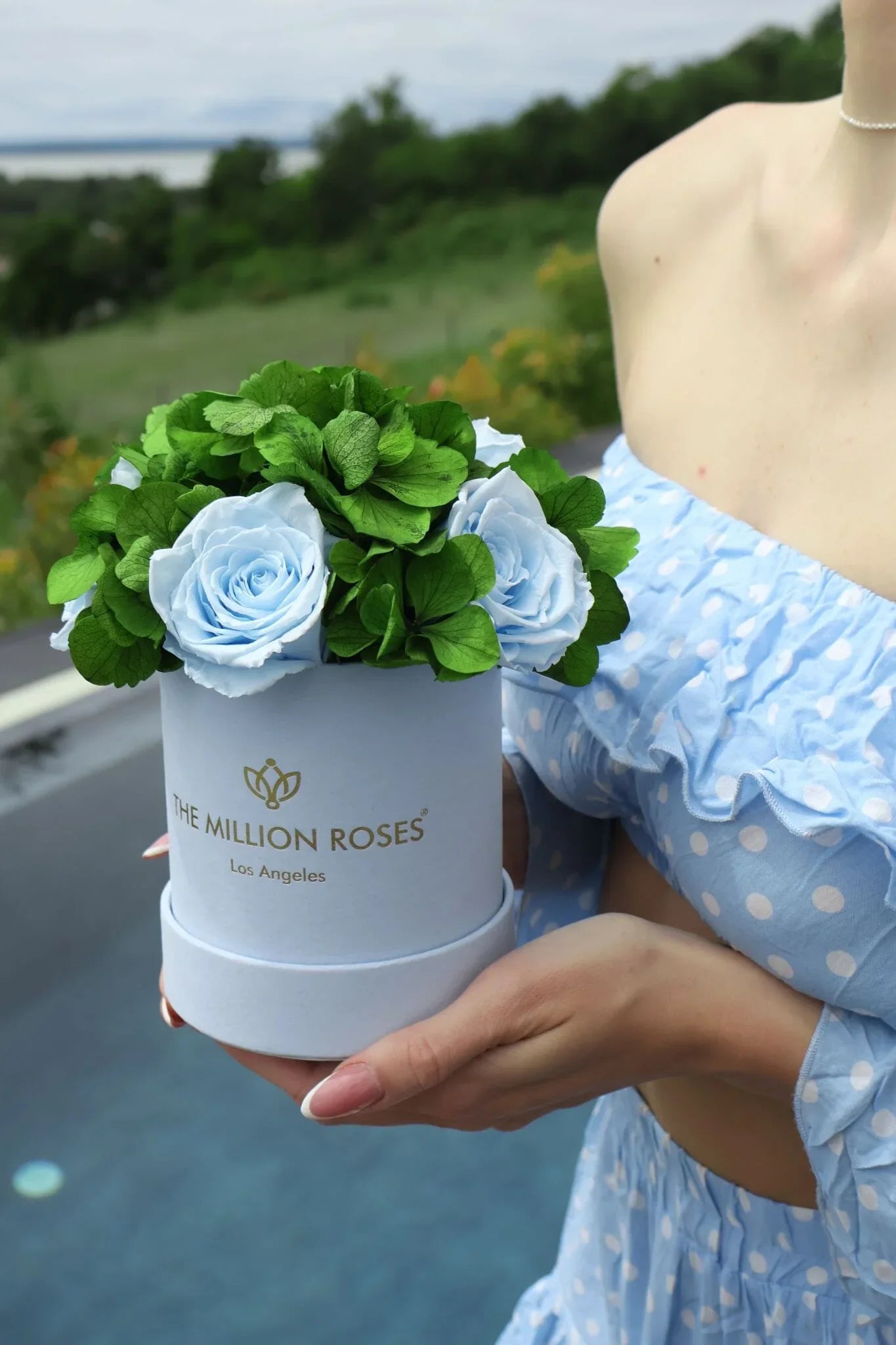 Basic Light Blue Suede Garden Box | Light Blue Roses The Million Roses