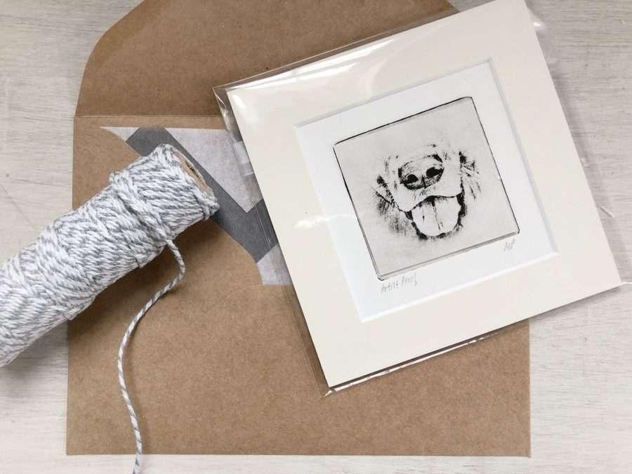 Border Collie Nose Dog Portrait Greyboy Pet Prints