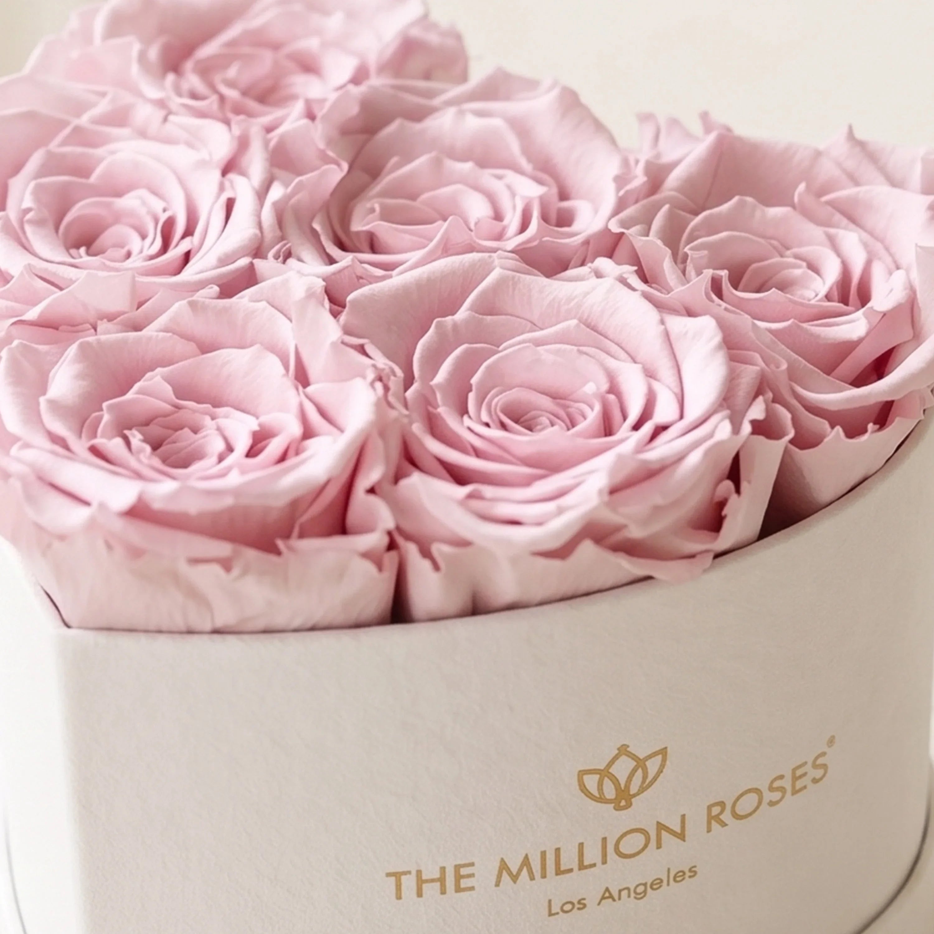 Baby Heart Beige Box | Light Pink Roses