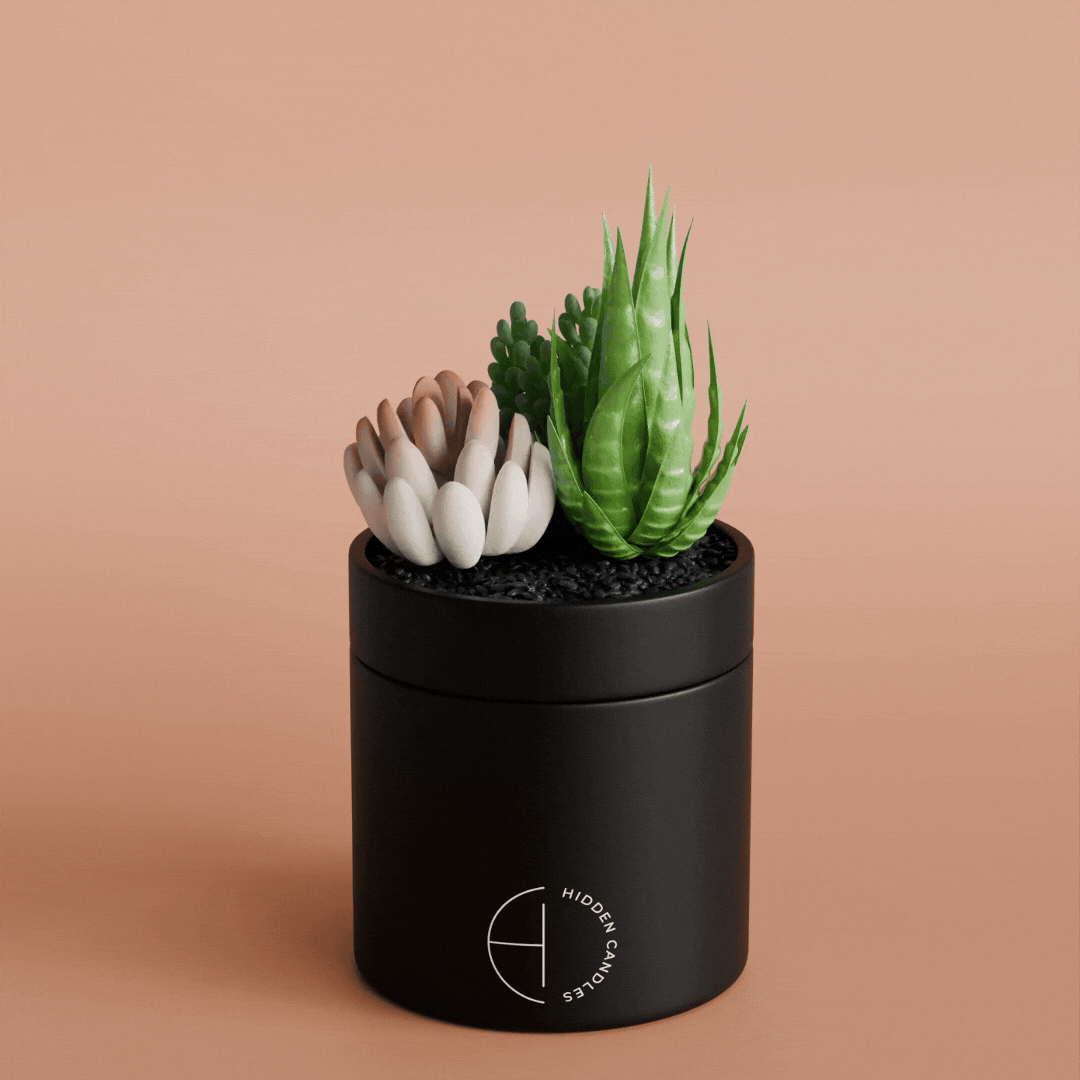 Beach Bungalow Candle Refill Hidden Candles