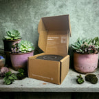 Beach Bungalow Candle Refill Hidden Candles