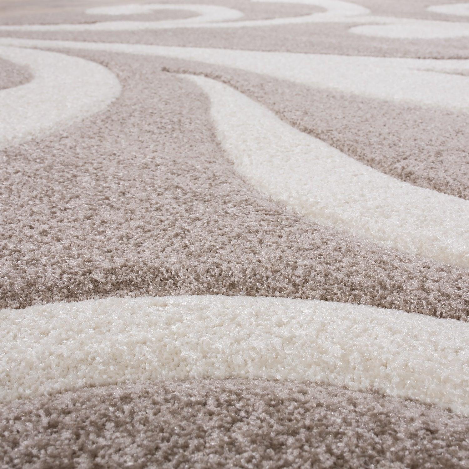 Area Rug Lafleur Modern Floral Pattern with Contour Cut - Beige - House Of Avana