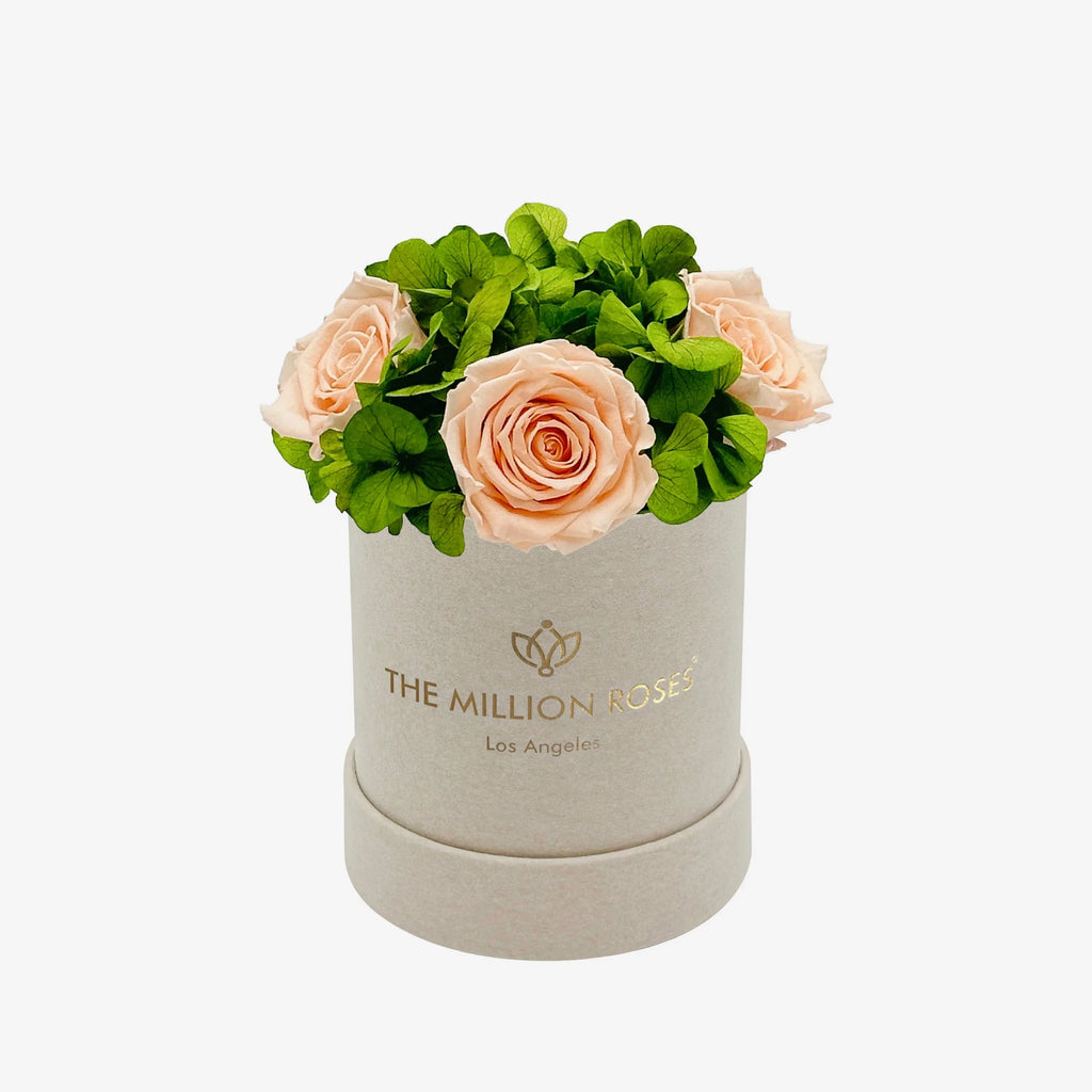 Beige suede garden box with peach roses, soft velvet interior - House of Avana