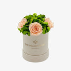 Beige suede garden box with peach roses, soft velvet interior - House of Avana