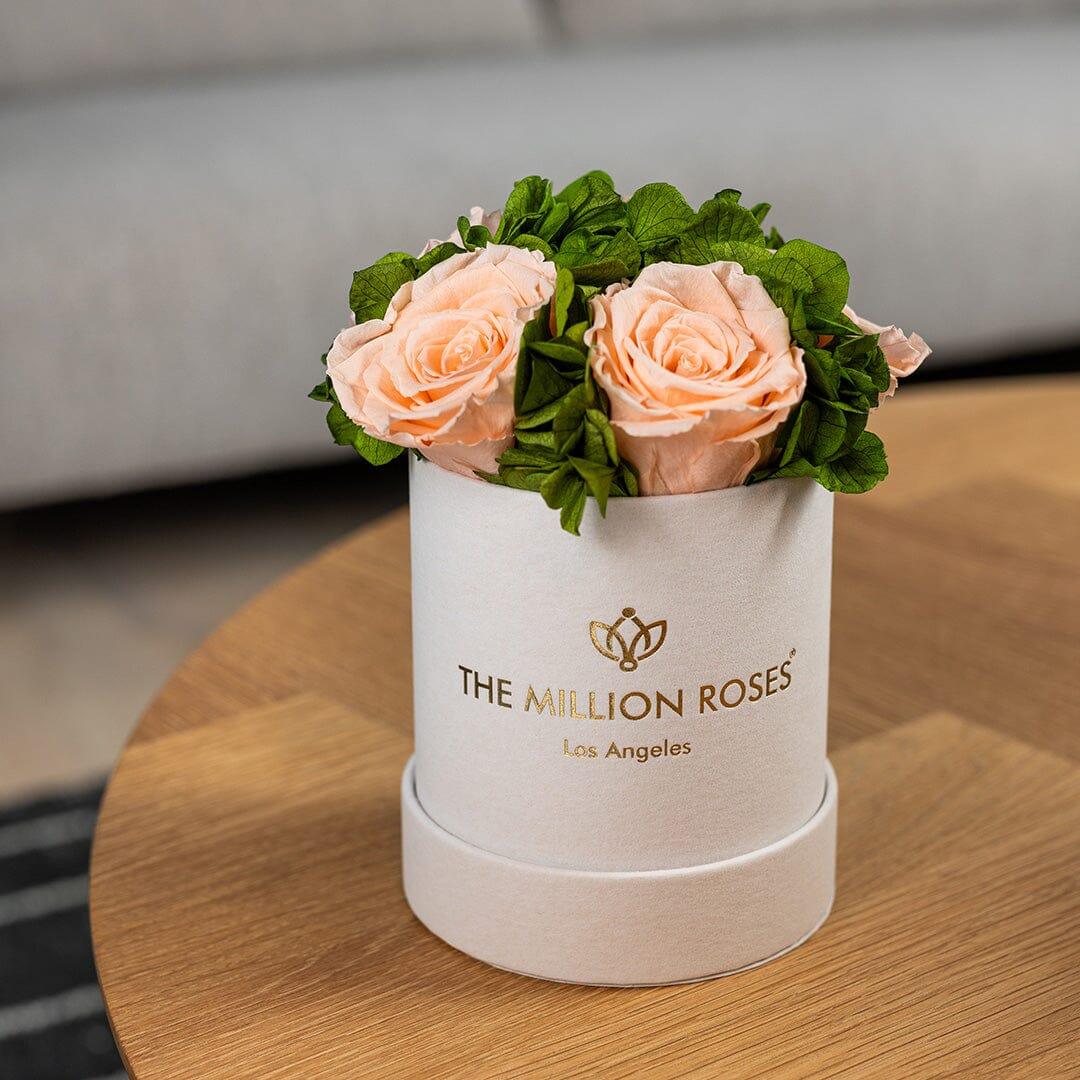 Beige suede garden box with peach roses, soft velvet interior - House of Avana