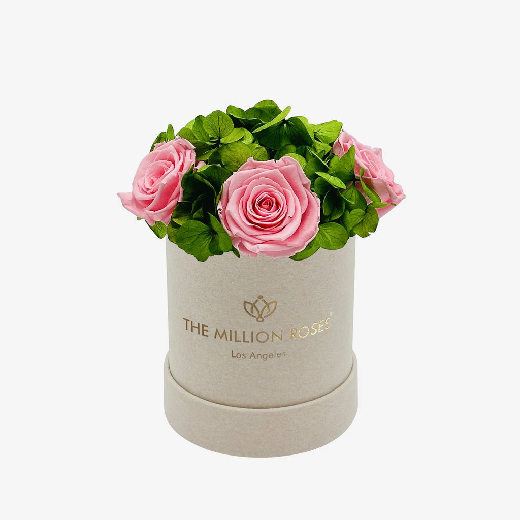 Beige suede garden box with light pink roses, soft floral arrangement - House of Avana