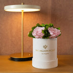 Beige suede garden box with light pink roses, soft floral arrangement - House of Avana