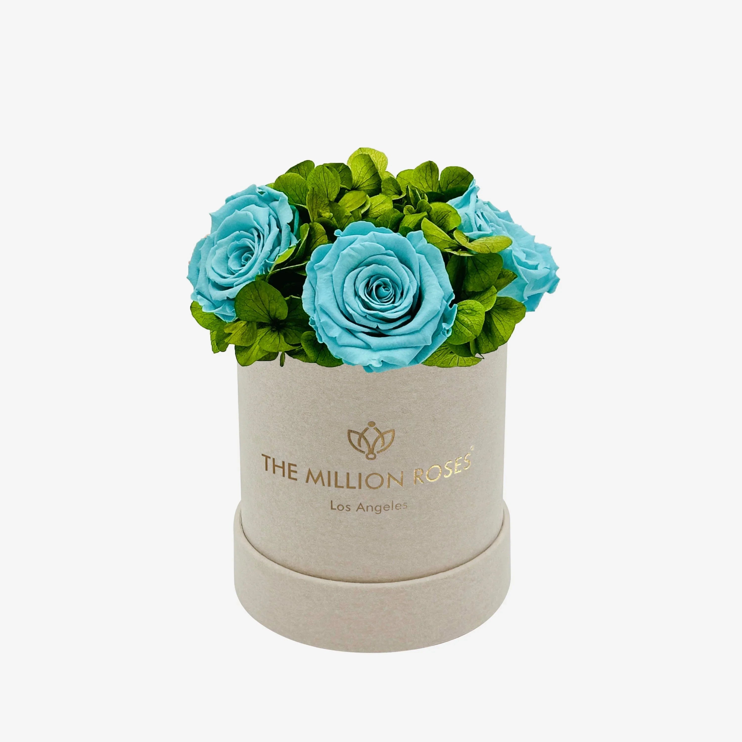 Beige suede garden box with turquoise roses, soft exterior - House of Avana
