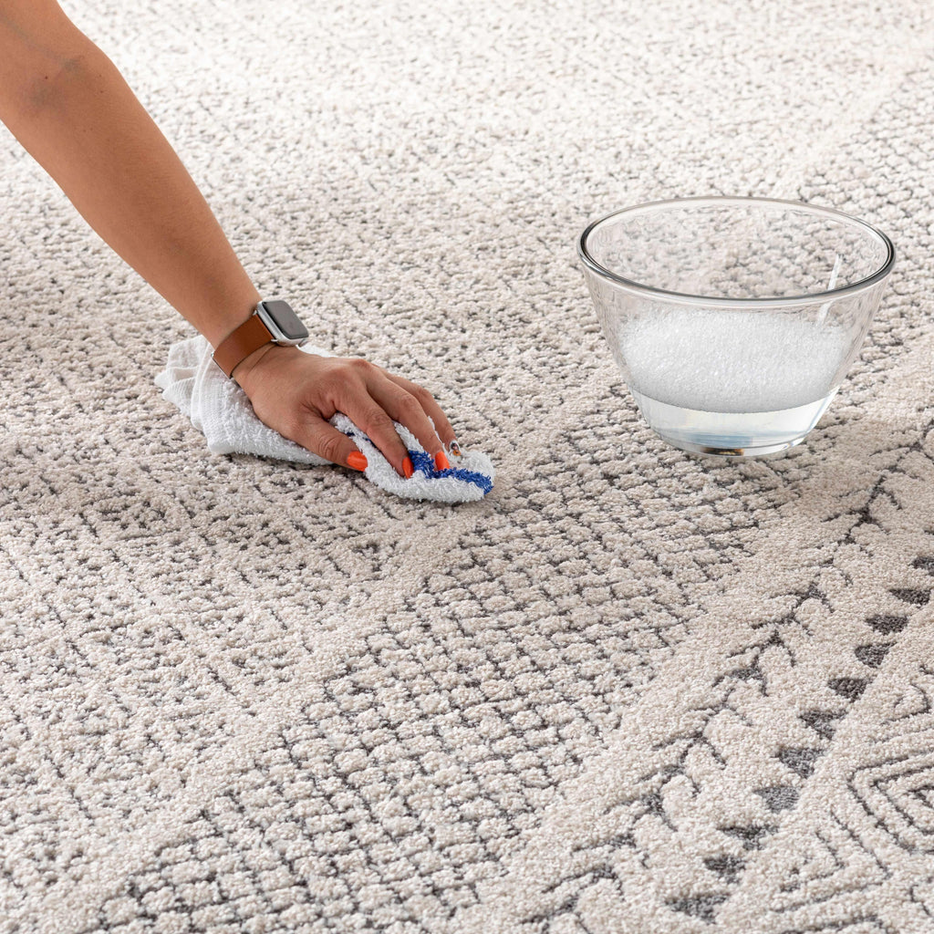 Burdette Soft Neutral Rug Hauteloom