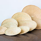 Binga Blonde Natural Woven Wall Basket Kanju Interiors