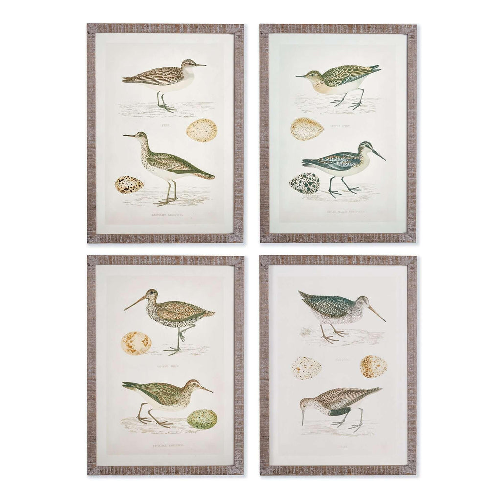 Vintage Coastal Bird Prints Wall Art (set of 4) - House Of Avana