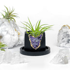 Black AMETHYST GEODE PLANTER AURA 8 HOME