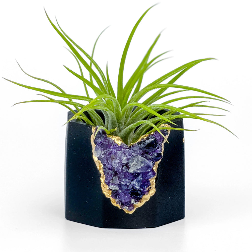 Black AMETHYST GEODE PLANTER AURA 8 HOME