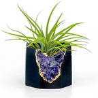 Black AMETHYST GEODE PLANTER AURA 8 HOME