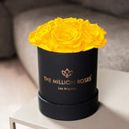 Black box with yellow roses, ceramic vase décor - House of Avana