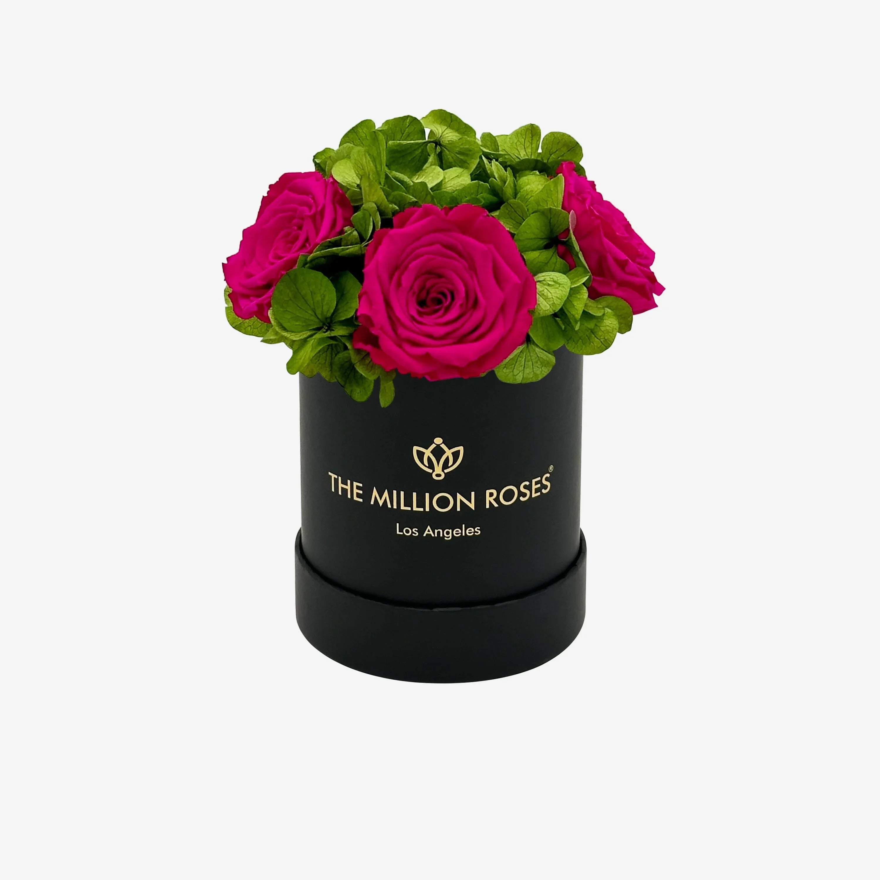 Black garden box with hot pink roses, wooden planter - House of Avana