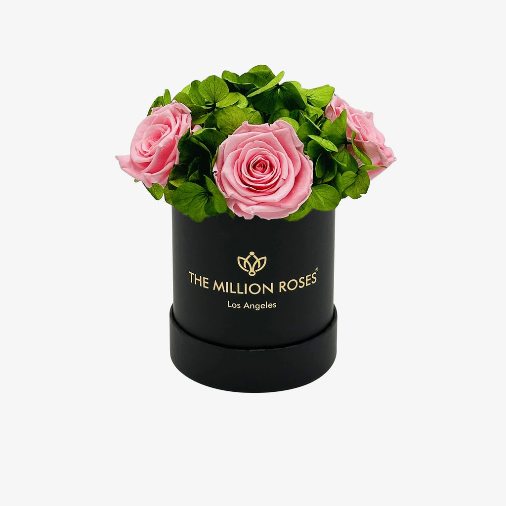 Black garden box with light pink roses, wooden planter - House of Avana