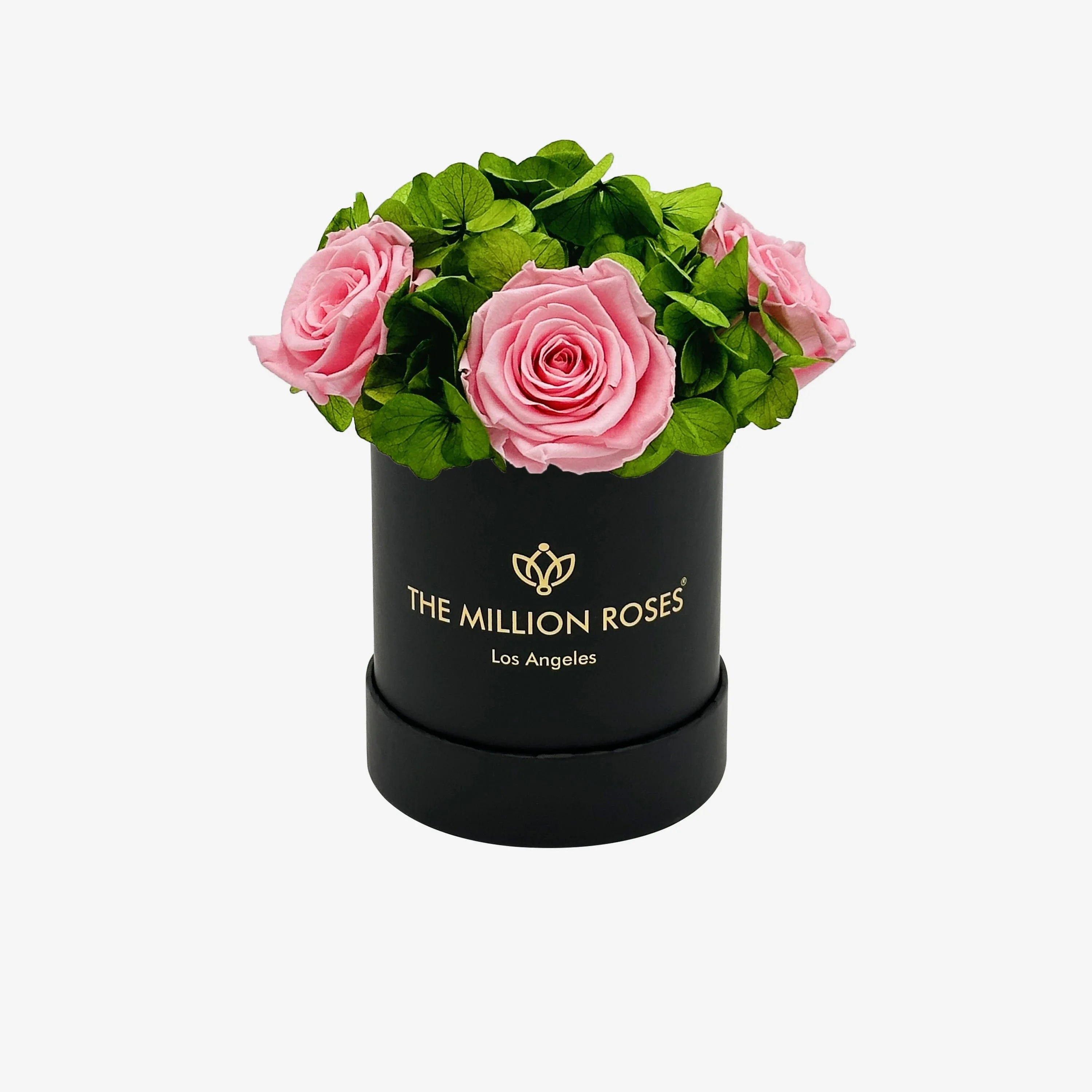 Black garden box with light pink roses, wooden planter - House of Avana