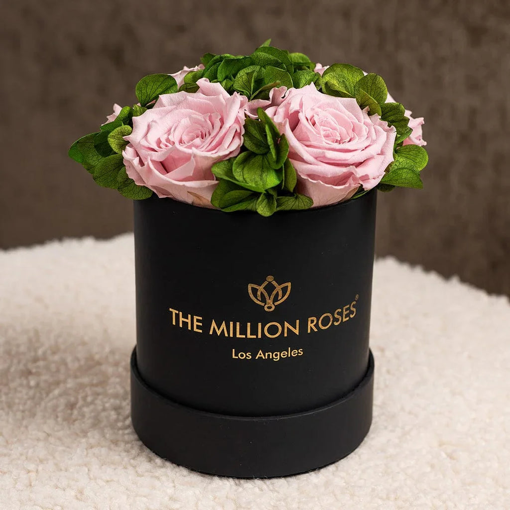Black garden box with light pink roses, wooden planter - House of Avana