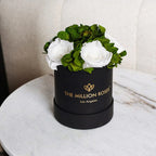 Black garden box with white roses, wooden planter - House of Avana