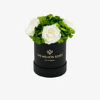 Black garden box with white roses, wooden planter - House of Avana