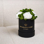 Black garden box with white roses, wooden planter - House of Avana