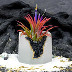 BLACK TOURMALINE GEODE PLANTER AURA 8 HOME