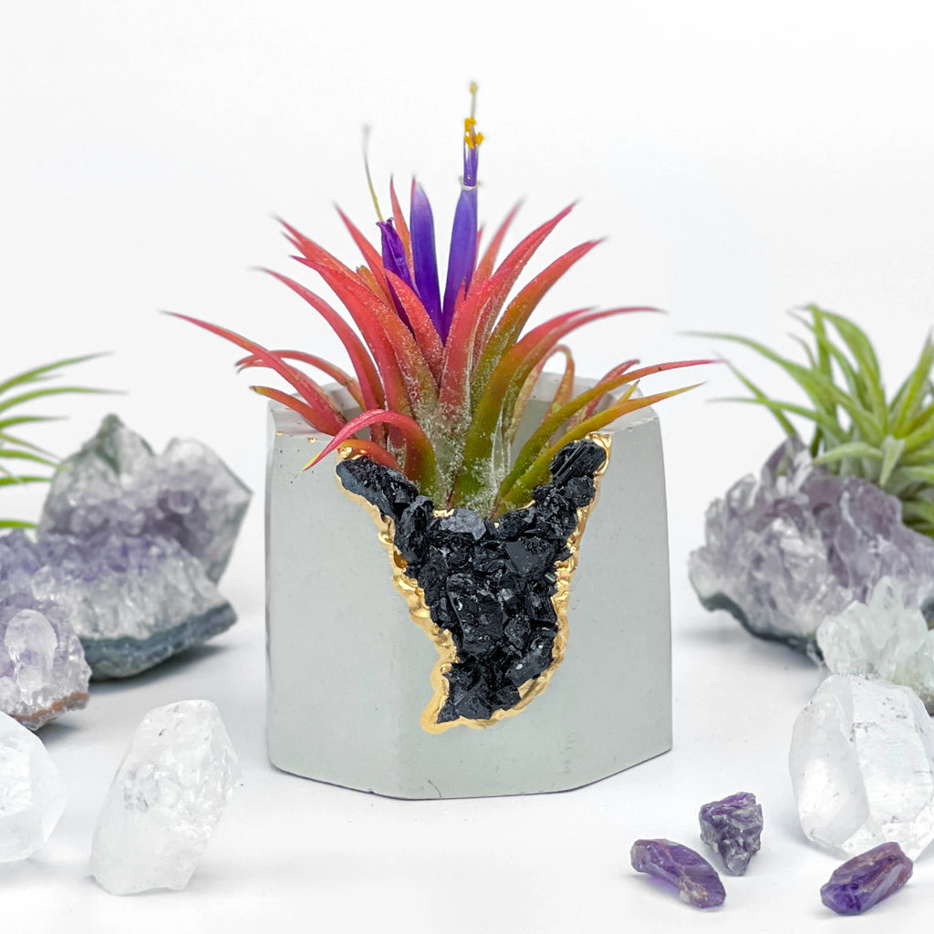 BLACK TOURMALINE GEODE PLANTER AURA 8 HOME