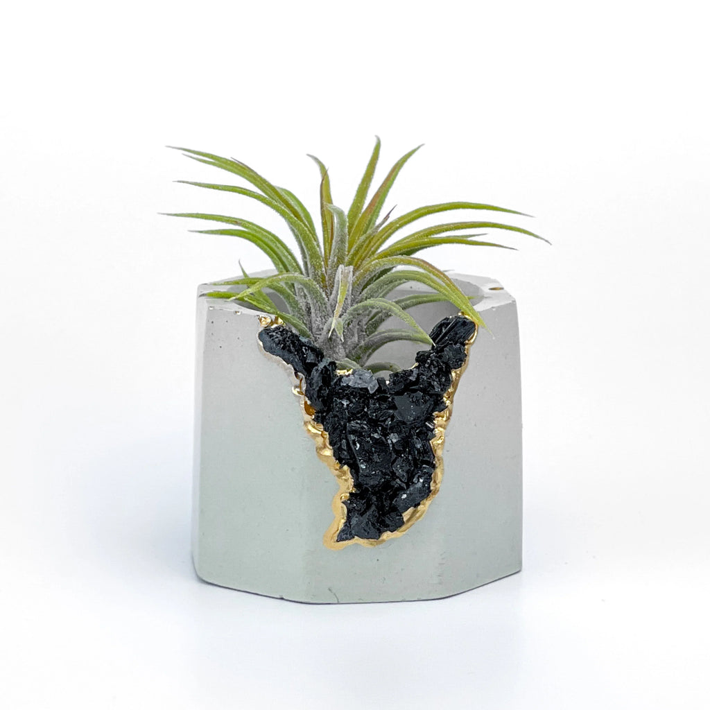 Black tourmaline geode planter, natural stone décor - House of Avana