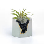 Black tourmaline geode planter, natural stone décor - House of Avana