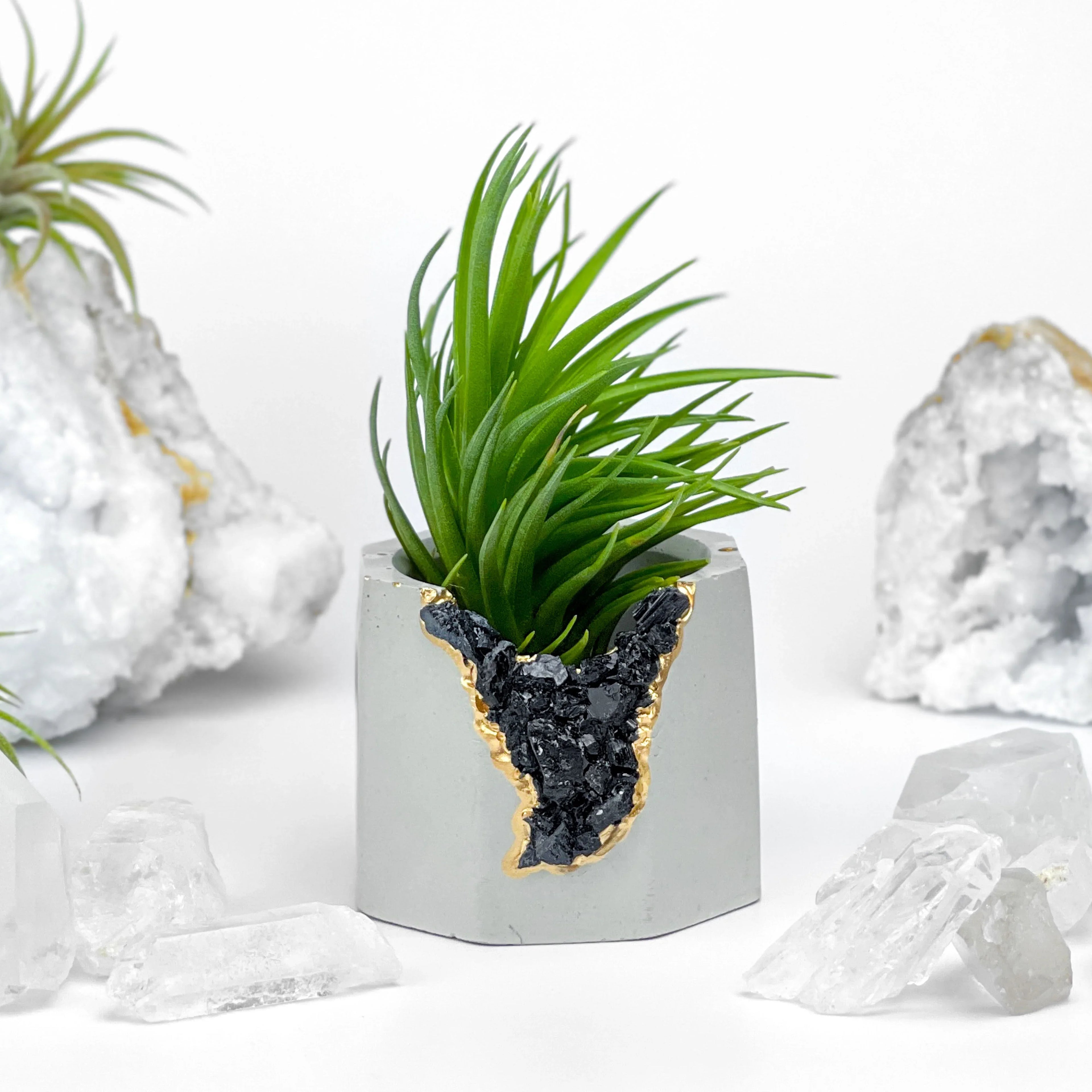 BLACK TOURMALINE GEODE PLANTER AURA 8 HOME