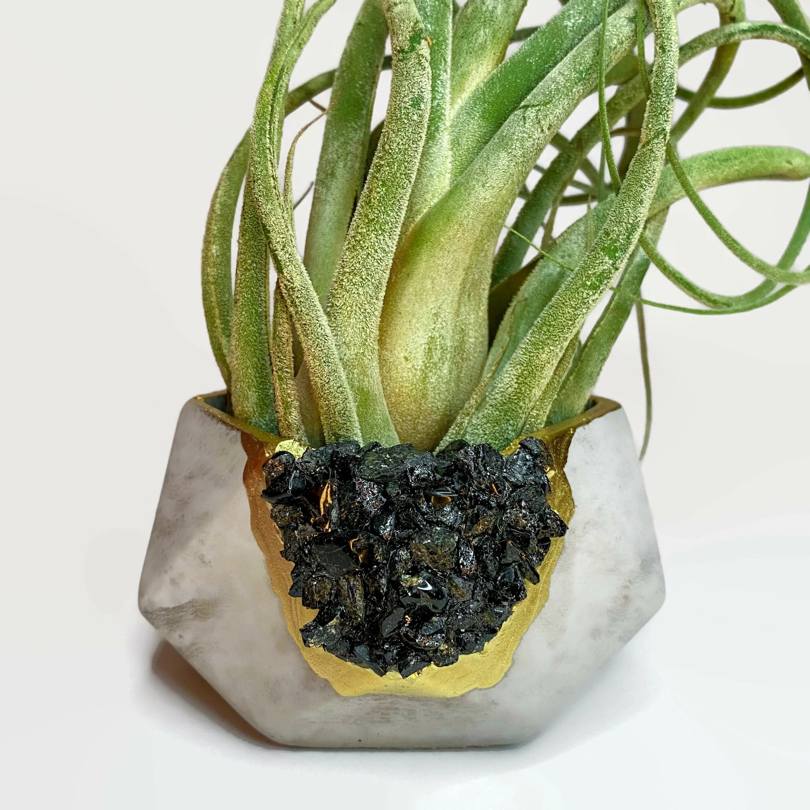 Black tourmaline geometric planter, modern ceramic décor - House of Avana