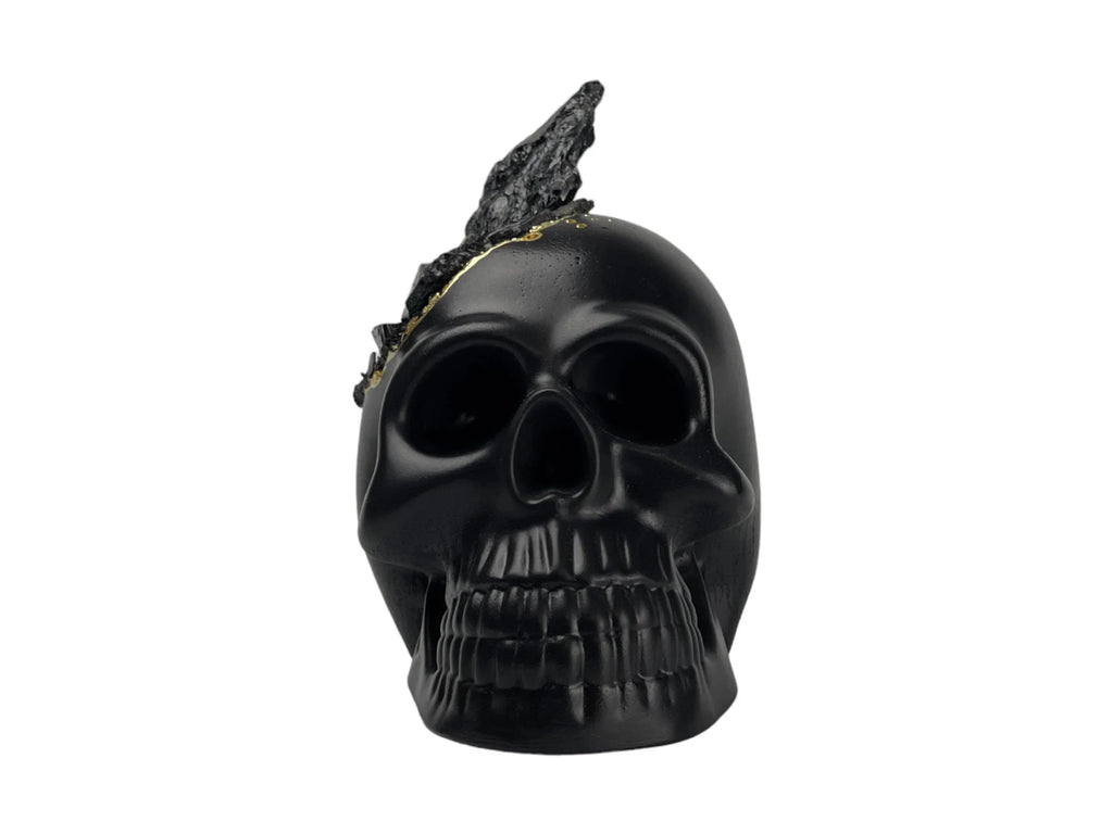 Black Tourmaline Skull Head (black) - House Of Avana