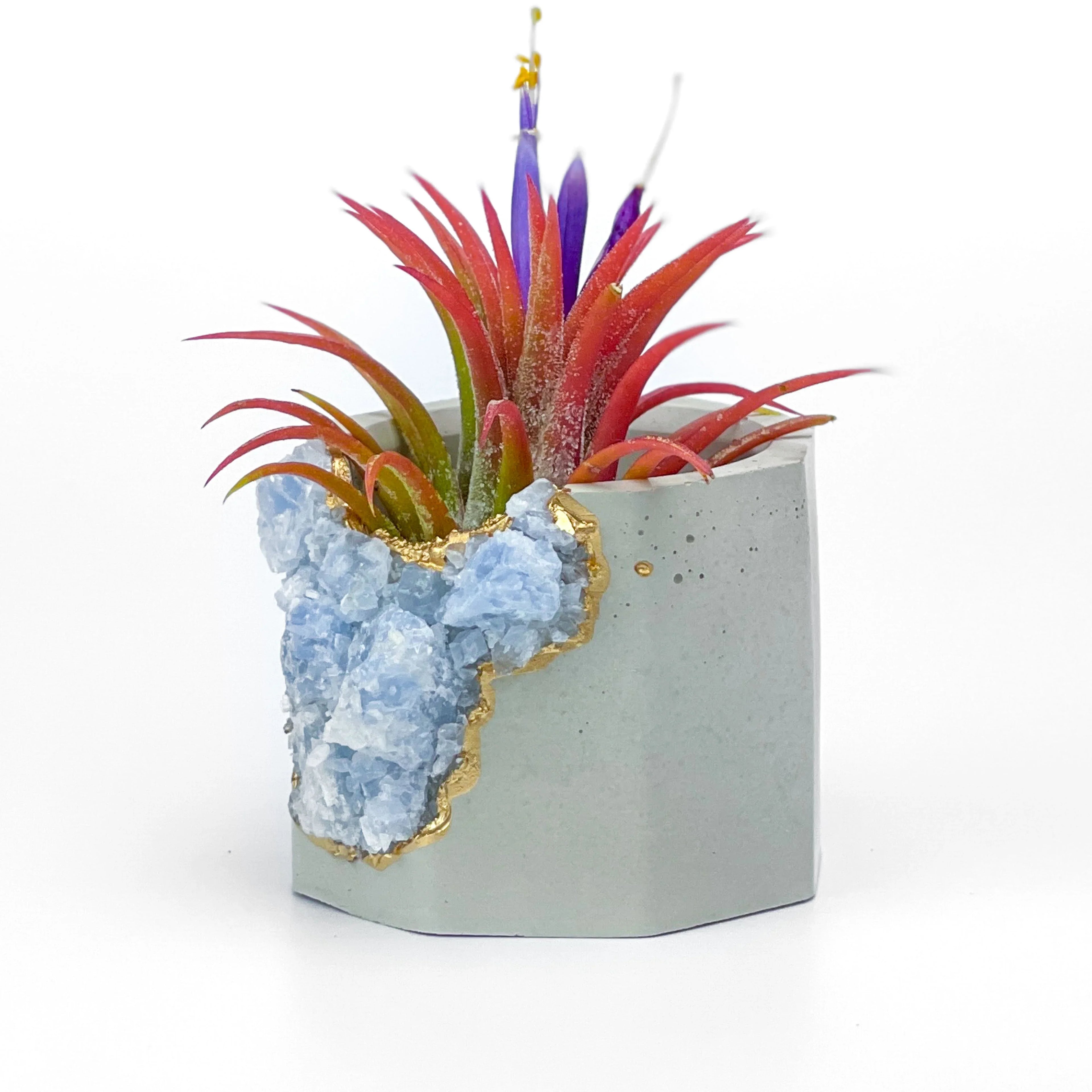 BLUE CALCITE GEODE PLANTER AURA 8 HOME