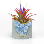 Blue Calcite Geode Planter with Natural Stone Layers, side view - House Of Avana