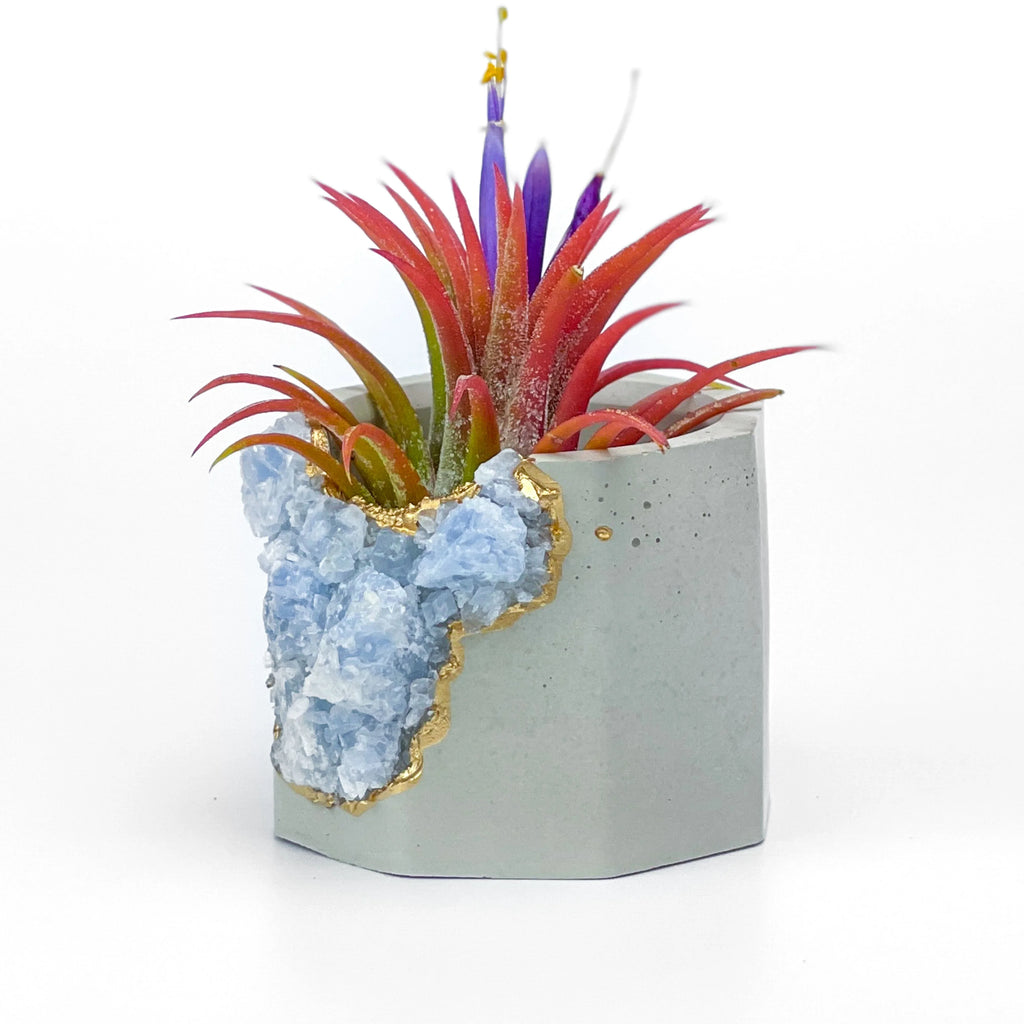 Blue Calcite Geode Planter with Natural Stone Layers, detail shot - House Of Avana