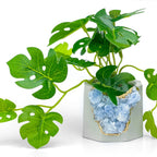 Blue Calcite Geode Planter with Natural Stone Layers, lifestyle image - House Of Avana