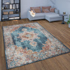 Blue and terracotta oriental indoor outdoor rug with a distressed vintage pattern in a modern living room setting.