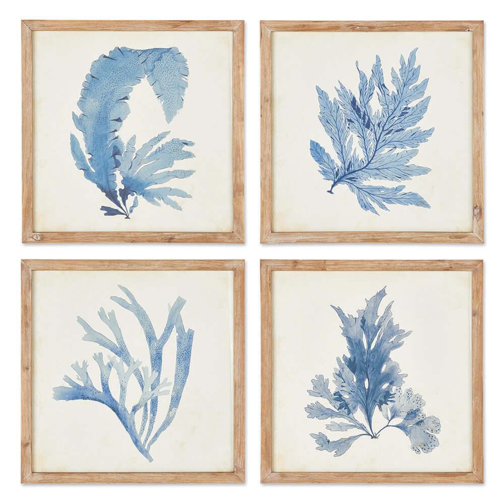 Vintage Coastal Blue Coral Prints with Whitewashed Wood Frames (set of 4) - House Of Avana