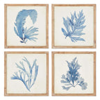 Vintage Coastal Blue Coral Prints with Whitewashed Wood Frames (set of 4) - House Of Avana
