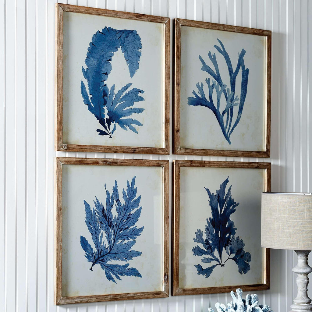 Vintage Coastal Blue Coral Prints with Whitewashed Wood Frames (set of 4) - House Of Avana