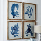 Vintage Coastal Blue Coral Prints with Whitewashed Wood Frames (set of 4) - House Of Avana