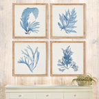 Vintage Coastal Blue Coral Prints with Whitewashed Wood Frames (set of 4) - House Of Avana
