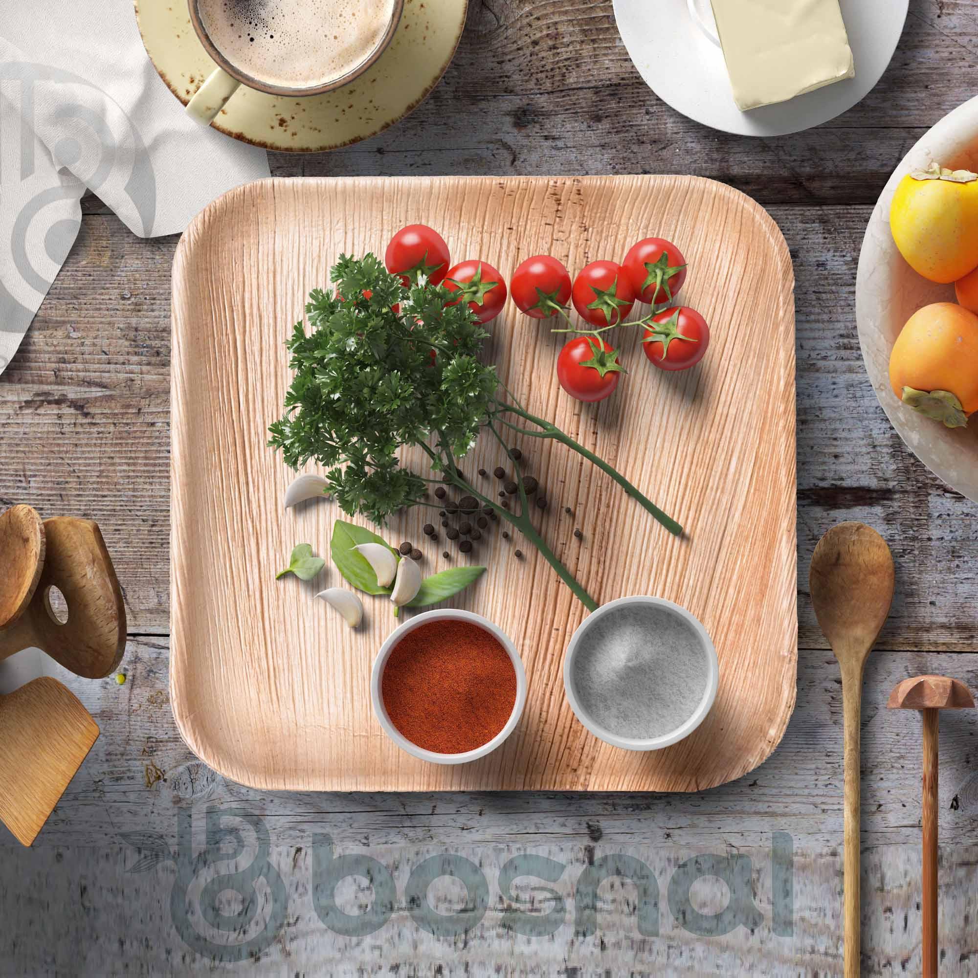 Bosnal - Palm Leaf Biodegradable Plates, 10 inch, Square Bosnal