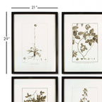Vintage Monochromatic Botanical Herb Wall Art (set of 4) - House Of Avana