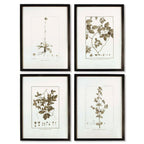 Vintage Monochromatic Botanical Herb Wall Art (set of 4) - House Of Avana