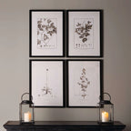 Vintage Monochromatic Botanical Herb Wall Art (set of 4) - House Of Avana