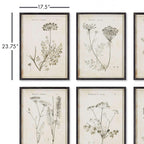 Vintage Monochromatic Botanical Wildflower Wall Art (set of 6) - House Of Avana