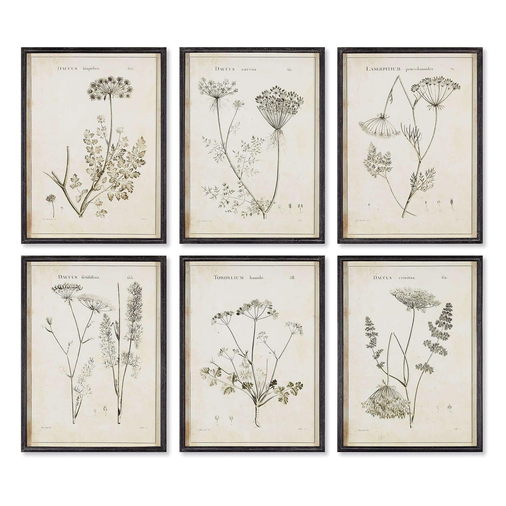 Vintage Monochromatic Botanical Wildflower Wall Art (set of 6) - House Of Avana